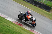 Advanced Group Multicolour Bikes